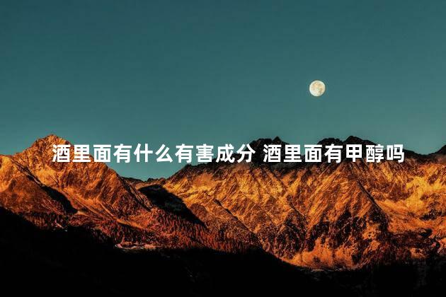 酒里面有什么有害成分 酒里面有甲醇吗